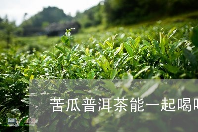 苦瓜普洱茶能一起喝吗/2023072284949