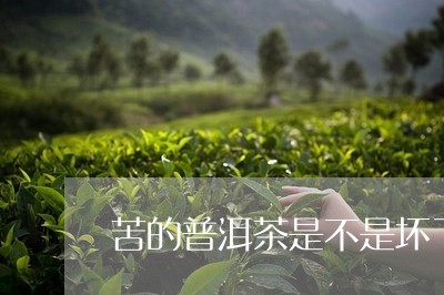 苦的普洱茶是不是坏了/2023092562915