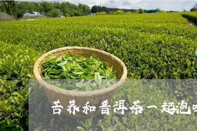 苦荞和普洱茶一起泡吗/2023092587270