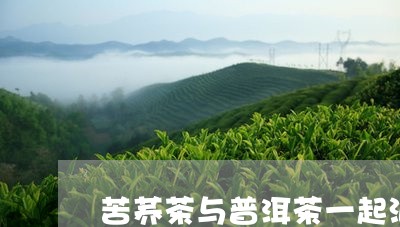 苦荞茶与普洱茶一起泡/2023092760794