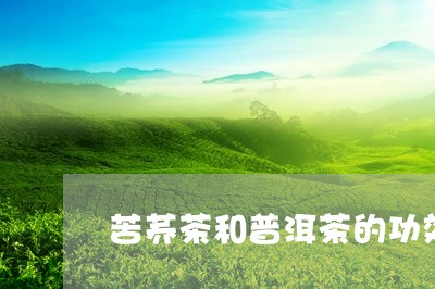 苦荞茶和普洱茶的功效和作用/2023110265056