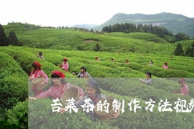 苦菜茶的制作方法视频/2023060961625