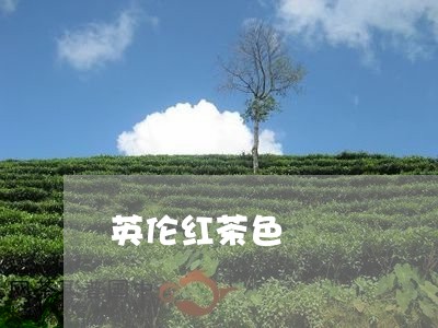 英伦红茶色/2023090251606