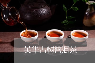 英华古树普洱茶/2023102616150