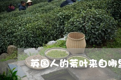 英国人的茶叶来自哪里/2023092333049