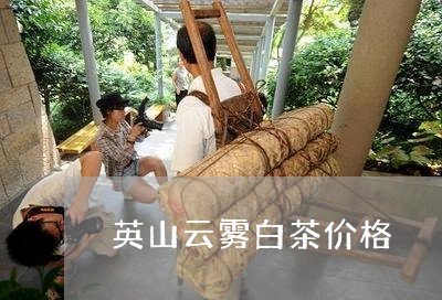 英山云雾白茶价格/2023071161738