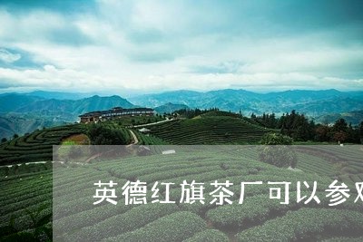 英德红旗茶厂可以参观/2023071585015