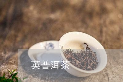 英普洱茶/2023090104360