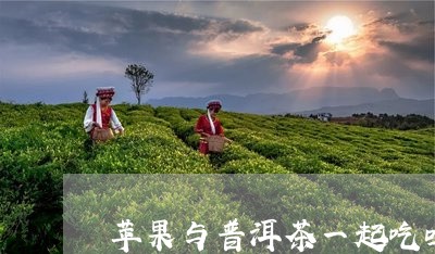 苹果与普洱茶一起吃吗/2023092795050