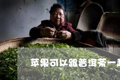 苹果可以跟普洱茶一起煮吗/2023110891728