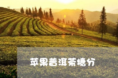 苹果普洱茶糖分/2023101628451