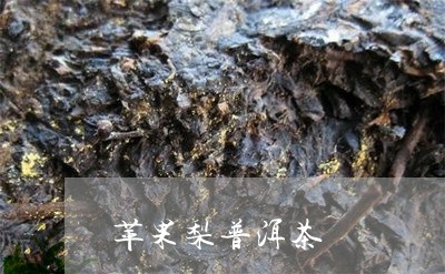 苹果梨普洱茶/2023042614144