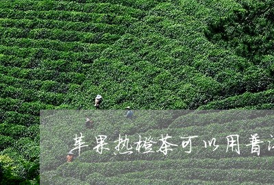 苹果热橙茶可以用普洱茶吗/2023082783137