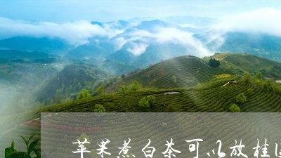 苹果煮白茶可以放桂圆嘛/2023110317280