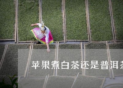 苹果煮白茶还是普洱茶好/2023102405037