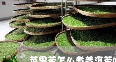 苹果茶怎么煮普洱茶喝好/2023103115956