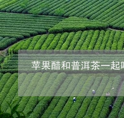 苹果醋和普洱茶一起喝好吗/2023110869473