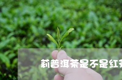 苿莉普洱茶是不是红茶/2023093084716