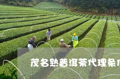 茂名熟普洱茶代理条件/2023061434137