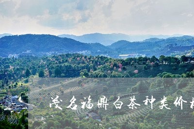 茂名福鼎白茶种类价格图片/2023042839593