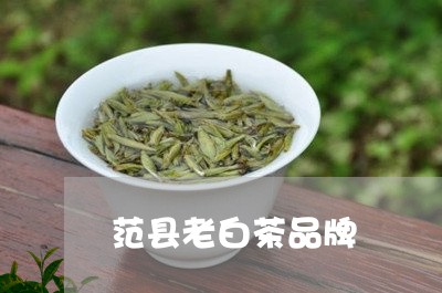 范县老白茶品牌/2023061055048