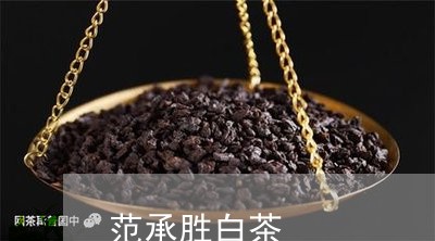 范承胜白茶/2023051149573