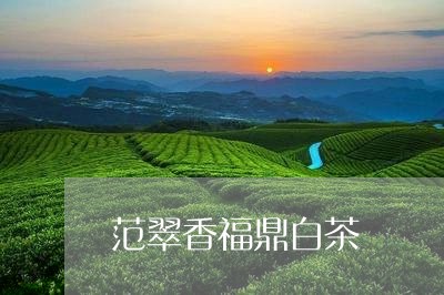 范翠香福鼎白茶/2023112583237