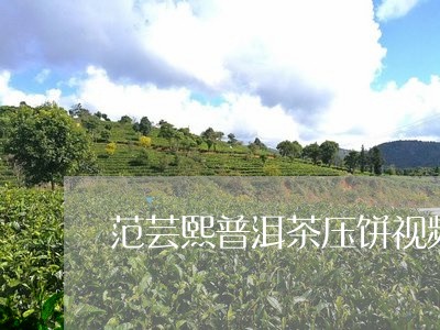 范芸熙普洱茶压饼视频/2023092621402