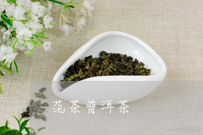 范茶普洱茶/2023090660583