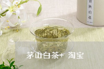 茅山白茶+淘宝/2023061093836