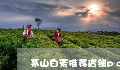 茅山白茶推荐店铺pdd/2023110352925