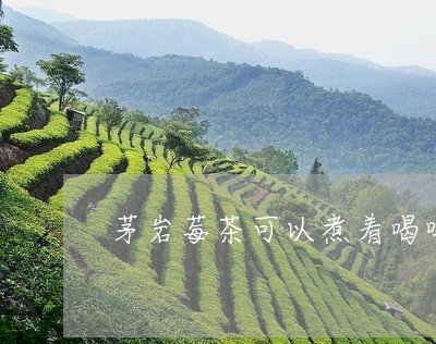 茅岩莓茶可以煮着喝吗/2023071428379