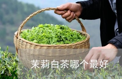 茉莉白茶哪个最好/2023071147470