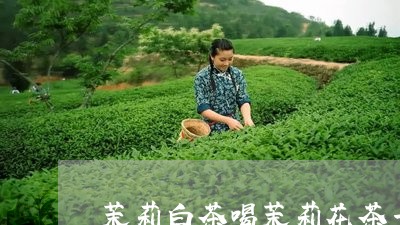 茉莉白茶喝茉莉花茶一样吗/2023042864928