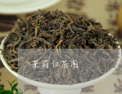 茉莉白茶图/2023051131527