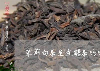 茉莉白茶是发酵茶吗吗能喝吗/2023111497058