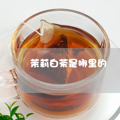 茉莉白茶是哪里的/2023071184917