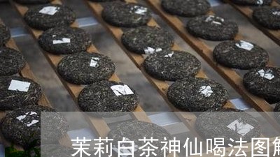 茉莉白茶神仙喝法图解大全/2023042861694