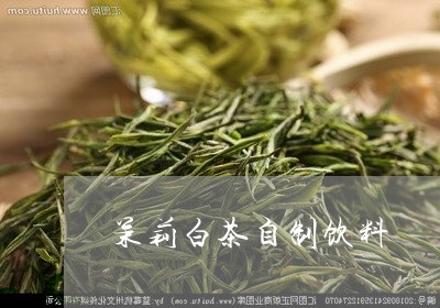 茉莉白茶自制饮料/2023071106150