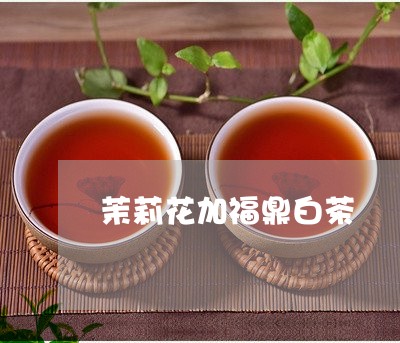 茉莉花加福鼎白茶/2023071175058