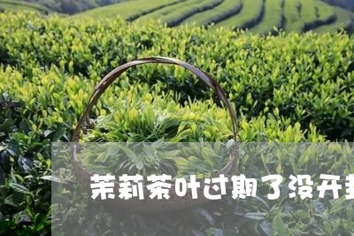 茉莉茶叶过期了没开封还能喝吗/2023053181481