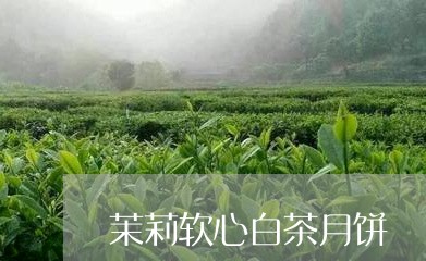 茉莉软心白茶月饼/2023071159403