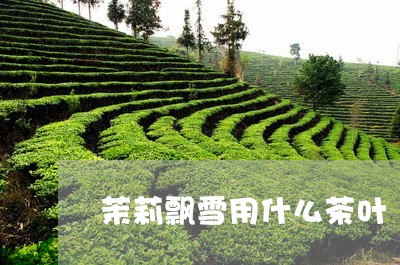 茉莉飘雪用什么茶叶/2023042649381