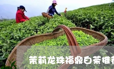 茉莉龙珠福鼎白茶推荐吗/2023092180492