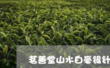 茗善堂山水白毫银针/2023120434060