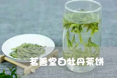 茗善堂白牡丹茶饼/2023090654252