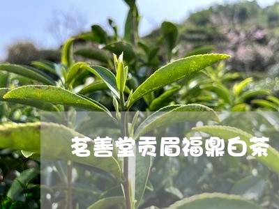 茗善堂贡眉福鼎白茶/2023082560512