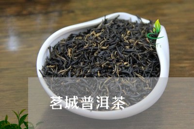 茗城普洱茶/2023102561816