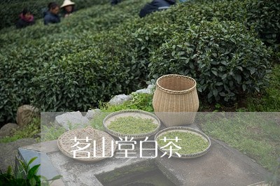 茗山堂白茶/2023051125939