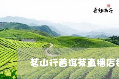 茗山行普洱茶直播店铺/2023062361926